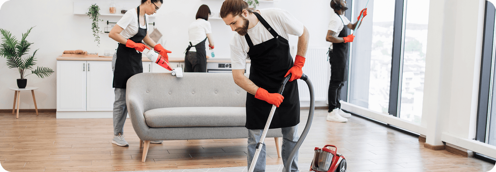 cleaner1